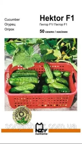 Огірок Гектор F1 50 насінин Агропакгруп, фото 1