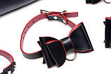 Набір для BDSM Master Series Bow - Luxury BDSM Set With Travel Bag SO8796, фото 7