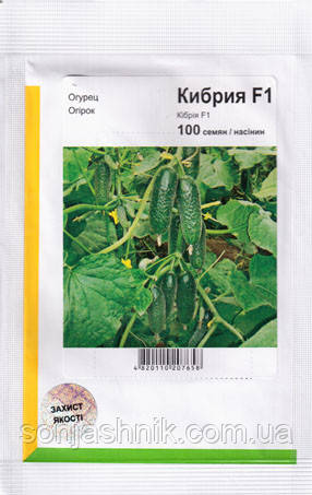 Огірок Кібрія F1 100 насінин АПГ, фото 1