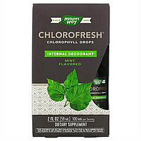 Рідкий хлорофіл Chlorofresh Mint 40X Liquid 59мл