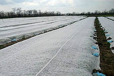 Агроволокно 30 г/м2 9.5м*100 метрів біле з посиленим краєм "Shadow" агроволокно для полуниці, фото 3