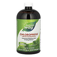 Chlorofresh Liquid - 16 oz Mint