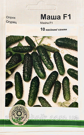 Огірок Маша F1 100 насінин Агропакгруп, фото 1