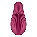Вібратор Satisfyer Dipping Delight Berry, фото 5