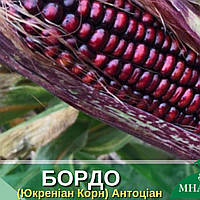 Семена кукурузы Бордо F1, среднеспелый 76 78 дней, 4 000 семян