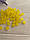 Бусини матові " Лід " 10 мм,  жовті  500 грам, фото 4