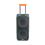 Портативна акустика з мікрофоном караоке колонка з радіо Bluetooth NDR 1096A 2х8", фото 4