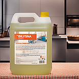 Білизна поверхня, 5 л, фото 2