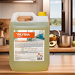 Білизна поверхня, 5 л, фото 3