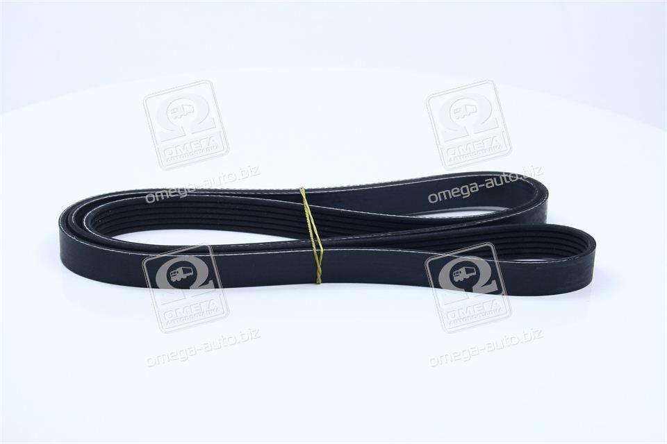 Ремінь поліклиновий DAYCO 6PK1885, фото 1