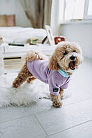 Худи для собак, свитер для собак, толстовка для собак фиолетовый VIOLET XL DIGI DOG