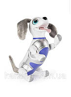Zoomer dog hotsell playful pup
