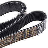 Ремінь приводний дв. FORD EC466C301AA T212970 8PK1630HD, фото 2