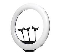 Кільцева Лампа Ring Fill Light QX-300 33см + Штатив 2.1м, Світлодіодне Освітлення для Блогера, фото 5