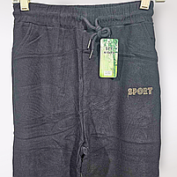 Спортивні штани для жінок оптом, 2XL/3XL-6XL/7XL рр., арт. Hay-F-201, фото 2