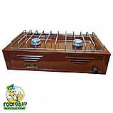 Настільна двонфорочна туристична газова плита Брест що працює на природному та балонному газі, фото 4