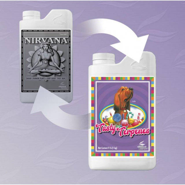 Tasty Terpenes 旧Nirvana Tasty Terpenes™ | Enrich Your Garden During Bloom Phase