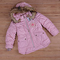 Куртка, пальто Куртка Дівчинка Зима 8074 Рожевий арт.8074 Деньчик Зріст 128-60(р)