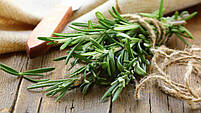 Маска для волосся зміцнювальна з розмарином 3 в 1 Aromatica Rosemary Scalp 3-in-1 Treatment, фото 5