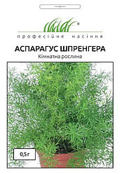 Насіння Аспарагуса Шпренгера 0,5г ТМ Професійне насіння