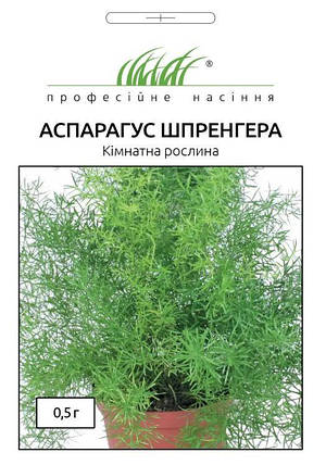 Насіння Аспарагуса Шпренгера 0,5г ТМ Професійне насіння, фото 2