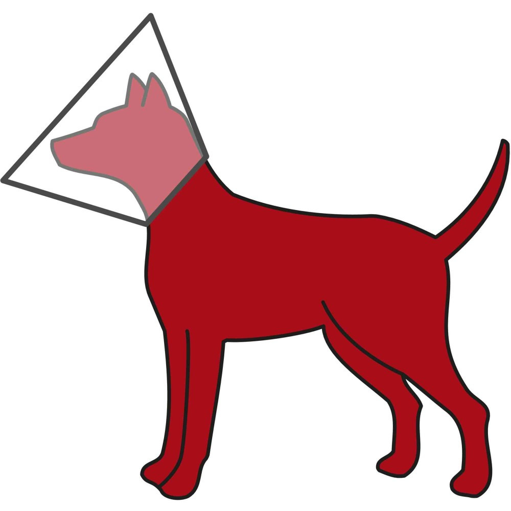 Ветеринарный воротник Trixie для собак, пластиковый, L 44-50/25 см - фото 3 - id-p2077935585