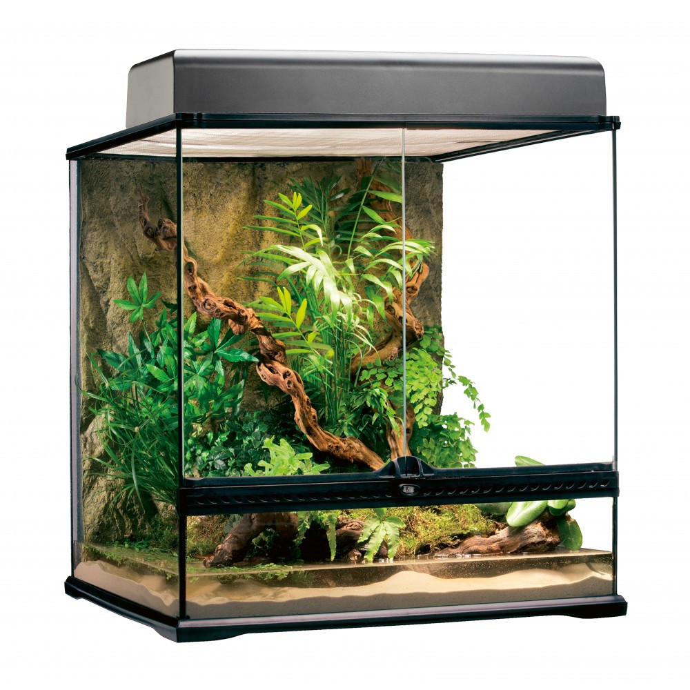 Террариум Exo Terra Natural Terrarium стеклянный, 60 x 45 x 60 см - фото 1 - id-p2077942366