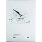 Папір для акварелі А3, 10 аркушів, 200г/м2, Kite K23-268, фото 3