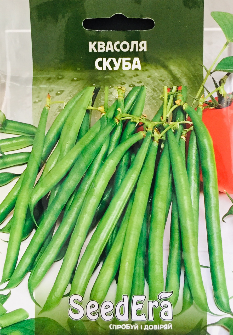 Фасоль спаржева кущова Скуба   20 г, фото 1