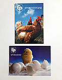 Комплект 12 календариків "Домашні тварини" для ігор на розвиток пам'яті, уваги, мови, фото 6