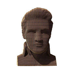 Картонний конструктор "Cartonic 3D Puzzle ELVIS"