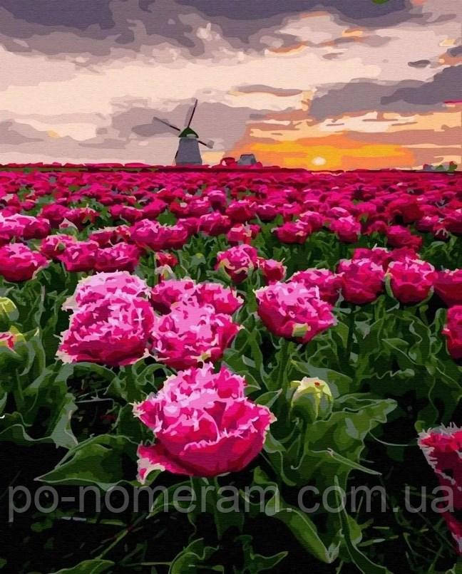 Картини за номерами Мальовничі Нідерланди (BK-GX45415) 40 х 50 см, фото 1