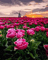 Картина по номерам Живописные Нидерланды (BRM45415) 40 х 50 см