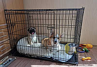 Клетка вольер переноска для собак металлическая раскладная Размер 76Х47Х53 см !!!