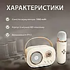 Бездротова портативна колонка Bluetooth Platinum C-20 з мікрофоном вологозахисту TF card караоке, фото 3