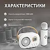 Колонка Bluetooth Platinum C-20 портативна з мікрофоном вологозахисту FM USB 5.0 для караоке, фото 3