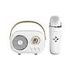 Колонка Bluetooth Platinum C-20 портативна з мікрофоном вологозахисту FM USB 5.0 для караоке, фото 7