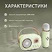 Bluetooth-колонка Platinum C-20 портативний вологозахист мікрофон FM USB 5.0 караоке 2 години роботи, фото 2