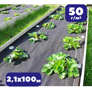 Агроволокно чорне 50 гм2 чорне 2,1х100м мульчуче проти бурʼянів Bradas для укриття ґрунту (br-AWB5021100)