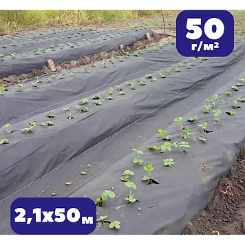 Агроволокно чорне 50 гм2 чорне 2,1х50м мульчуче проти бурʼянів Bradas для укриття ґрунту (br-AWB5021050)