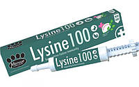 Лизин Mervue Lysine 100, паста для поддержания иммунитета при вирусных заболеваниях у кошек, 30 мл