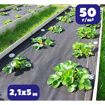 Спанбонд для полуниці 50 г/м² чорне 2,1х5м агроволокно для теплиці та винограду мульчувальне (br-AWB5021005)