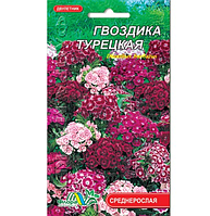 Гвоздика Турецька, дворічна рослина, насіння квіти 0.25 г