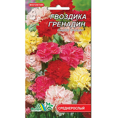 Гвоздика Гренадін, багаторічна рослина, насіння квіти 0.1 г