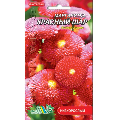 Маргаритки Червона куля, багаторічна рослина, насіння квіти 0.03 г