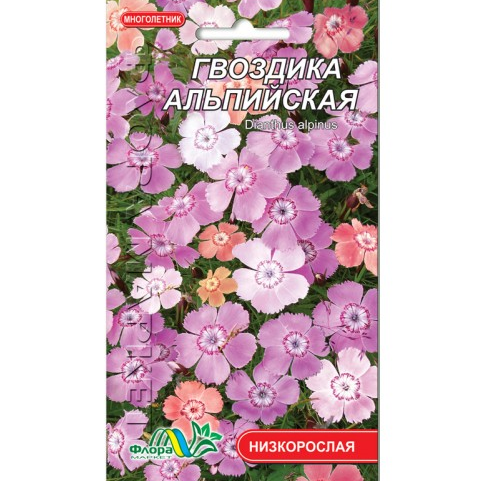 Гвоздика Альпійська, багаторічна рослина, насіння квіти 0.05 г