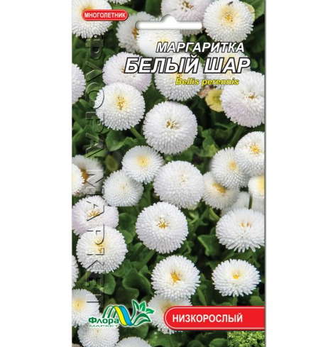 Маргаритки Біла куля, багаторічна рослина, насіння квіти 0.03 г