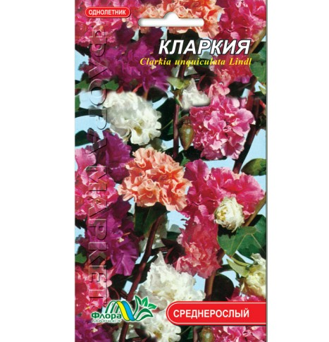 Кларкия квіти однорічні, насіння 0.2 г