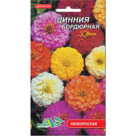 Цинія бордюрна квіти однорічні, насіння 0.2 г