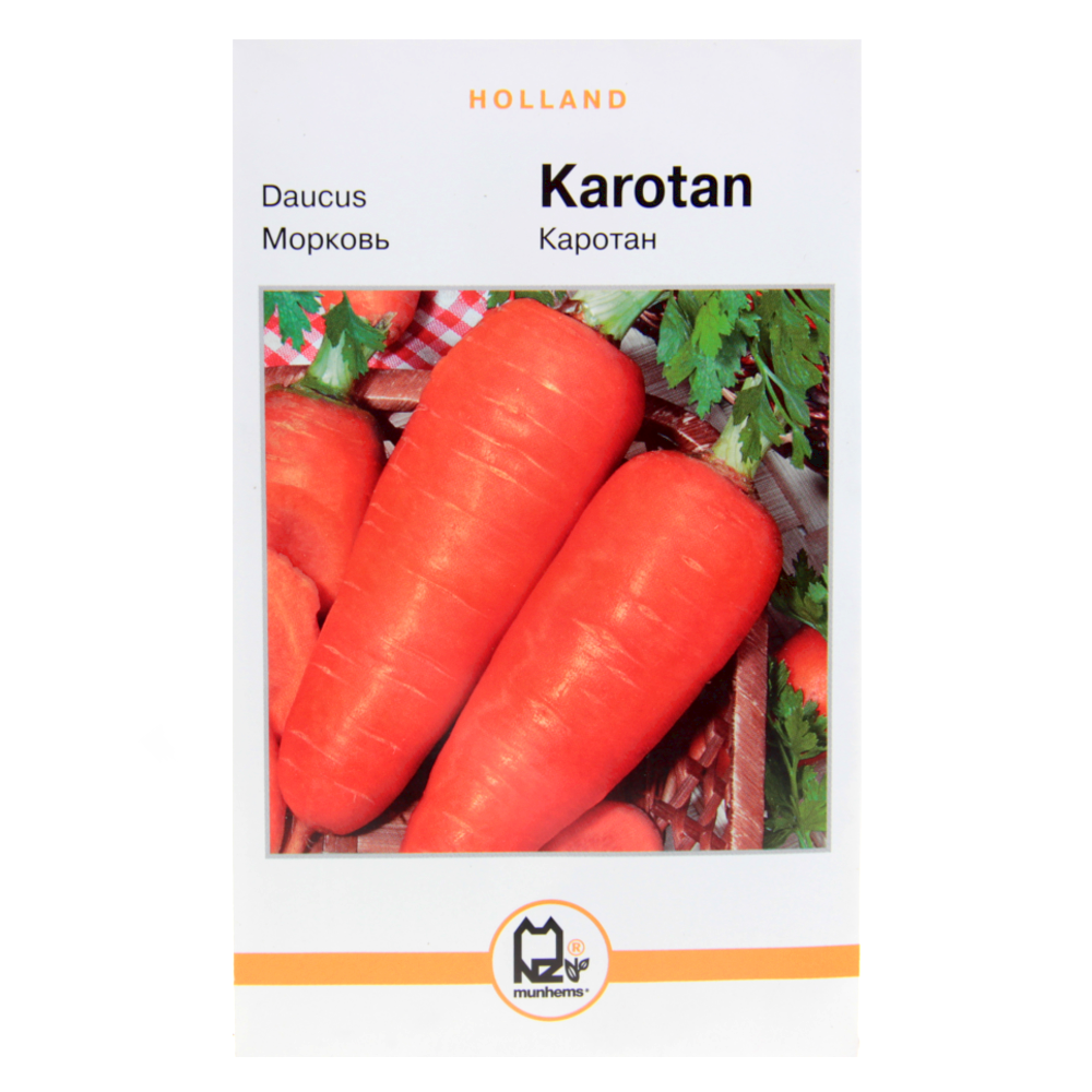 Морква Каротан Holland середньостигла великий пакет 10 г, фото 1
